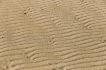 Wave Sand beach in the morning with shadow