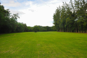 Plakat Golf course