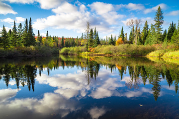 Fall trees with reflection in the lake