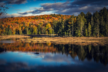 Fall trees with reflection in the lake