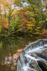 Horseshoe waterfall surrounded by fall foliage