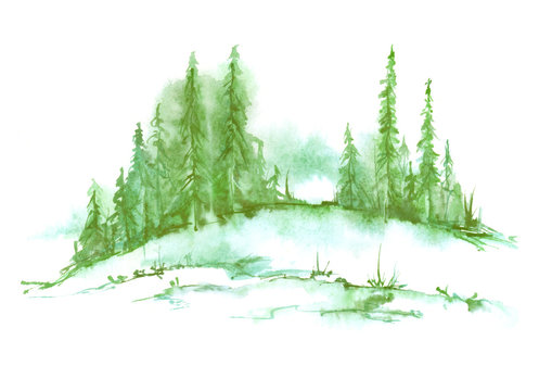 Watercolor landscape, picture. Picture of a pine forest, a green silhouette of trees and bushes on a white isolated background.