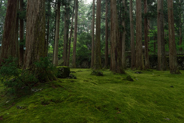 平泉寺白山神社