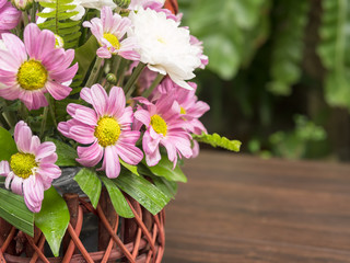 Sselected focus on lilac and white floral in wooden pot