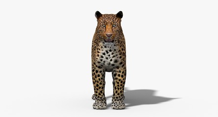 Jaguar (3D) © ANDRANIK