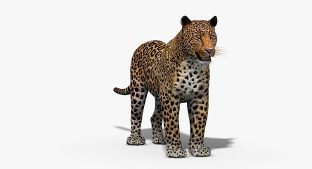 Fototapeta na wymiar Jaguar (3D)