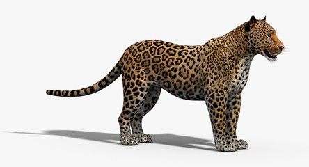 Jaguar (3D) © ANDRANIK