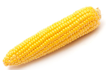 corn on the cob isolated on white background