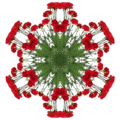 Red flowers carnations in the form of a picture of a kaleidoscope