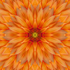 Dahlia flower in the form of a picture of a kaleidoscope