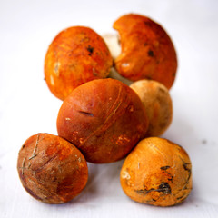 Autumn fungi. Porcini. Mushrooms. orange-cap boletus