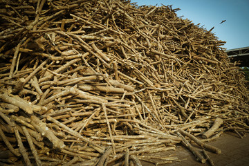 Bunches of mountain wood log materials