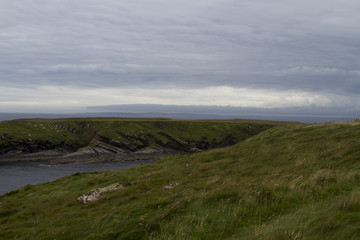 Fototapeta na wymiar Die Küste der Orkney Inseln - Schottland
