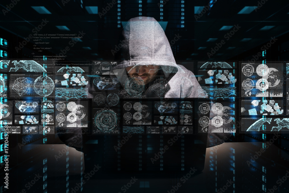 Aufkleber Hacker accessing to personal data information with a computer 3D rendering