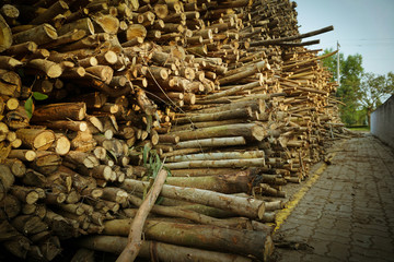 Logs are waiting transportation in arrangement  as: melaleuca, acacia, eucalyptus.
