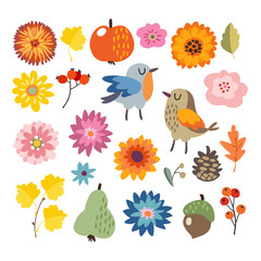 Set of cute hand-drawn autumn, fall elements. Birds and various flowers, fruit and leaves collection. Isolated vector illustrations, objects. Flat design.