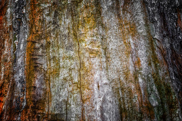 Obraz premium The old wood texture with natural patterns and cracks on the surface as background