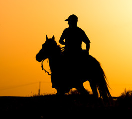 Fototapeta na wymiar Silhouette of a man on a horse at sunset