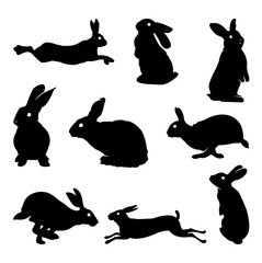 rabbit silhouette