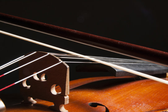 The bow on the strings violin