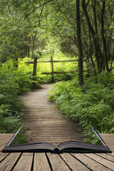 Beautiful landscape image of wooden boardwalk through lush green English countryside forest in Spring concept coming out of pages in open book