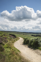 Beautiful vibrant landscape image of Burbage Edge and Rocks in Summer in Peak District England
