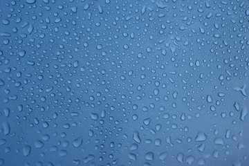 Water drops on car hood.