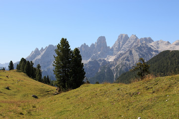 Fototapeta premium Il monte Cristallo da Prato Piazza (Dolomiti)