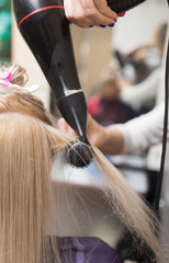 Naklejka premium Styling female hair dryer