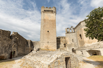  Abbey of St. Peter in Montmajour near Arles, France