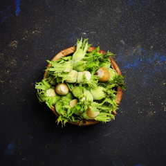 Naklejka na ściany i meble Fresh green hazelnuts in shell, dark background, top view