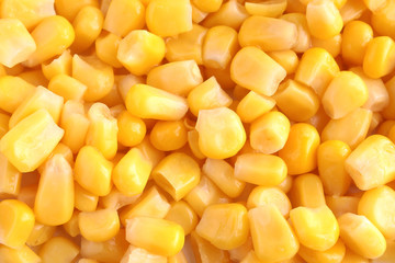 Canned corn background