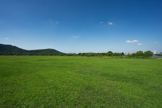 green field and blue sky