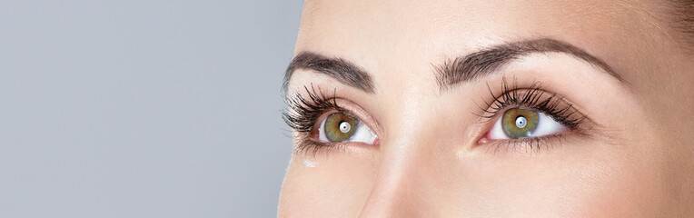 Fototapeta Closeup shot of woman eye with day makeup. Long eyelashes obraz