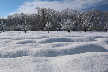 Fototapeta na wymiar Snow in the garden