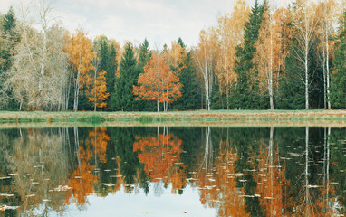 Fototapeta premium Autumn forest and lake.