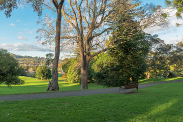 View of trees and meadow in a park with the evening sun and blue sky with clouds in new zealand