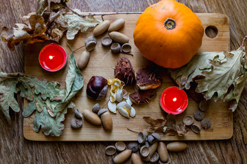 Pumpkin and acorns