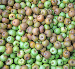 background of many green apples