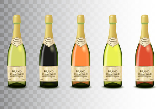 Vector set of different champagne wine bottles on transparent background
