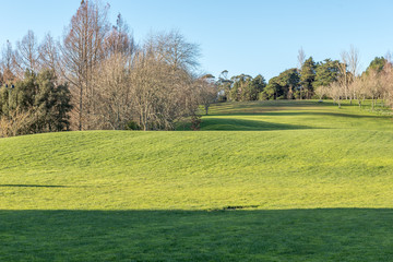 Obraz na płótnie Canvas Green meadow with some trees under a clear blue sky