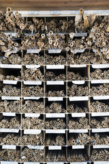 old wooden shelves filled with rolls of paper