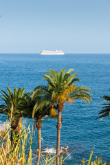cruise ship, palm trees and blue sea