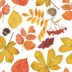 Obraz premium Watercolor painting autumn seamless pattern with yellow, red leaves and rowan berries