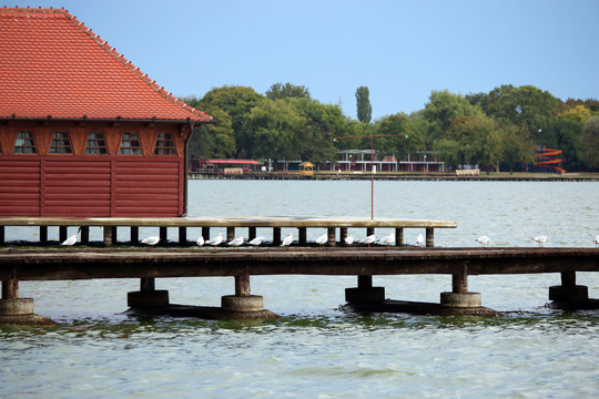 Lake Palic Subotica Serbia Europe