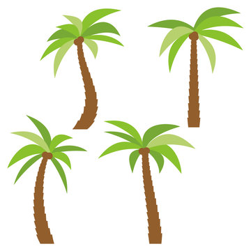 Set of four different cartoon palm trees isolated on white background. Vector illustration
