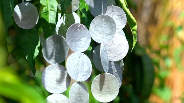 Capiz shell wind chimes