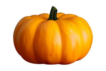 Realistic pumpkin on white background. Vector set.
