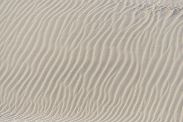 Fototapeta na wymiar Wave in the sand on the beach