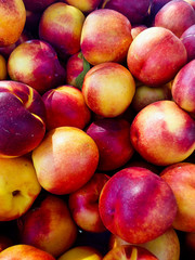 Heap of Ripe Organic Homegrown Nectarines at Farmers Market. Top View. Harvest Autumn Fall. Healthy Mediterranean Diet. Vitamins